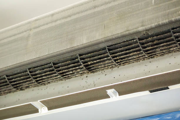 Best Dryer Vent Cleaning Services  in Palestine, TX